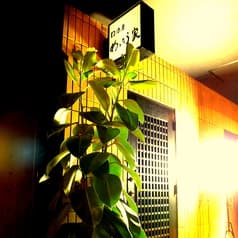 囲酒屋 めったら家 2