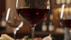 Winebar Tsuki akari ツキアカリ 2