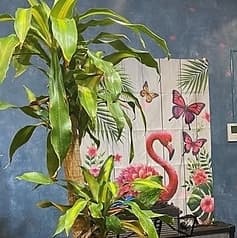 FOOD BAR & MUSIC FLAMINGO CAFE フラミンゴカフェ 2