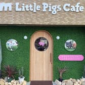 m Little Pigs Cafe エムリトルピッグスカフェ 3