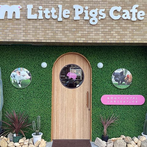 m Little Pigs Cafe エムリトルピッグスカフェ