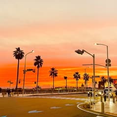 アロハテーブル 湘南 2