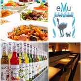 eMu エミュー 北浦和 3