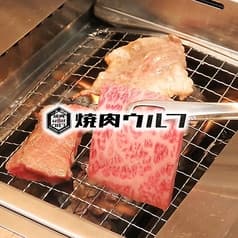 一人焼肉 ウルフ 立町店 2