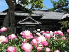 にしん御殿 小樽貴賓館 2