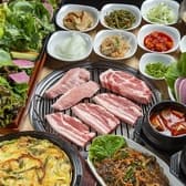 炭火焼サムギョプサル専門店 やさい村大地 札幌大通店 3