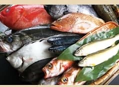 旬魚季彩 一誠 2