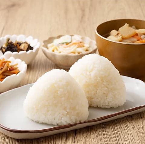 ヤマショウのごはん