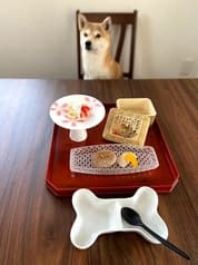 Cafe Bar TATSU カフェバータツ 2