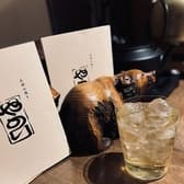 お好み焼き　やのり 3