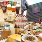 DOGS ONE ドッグスワン 3