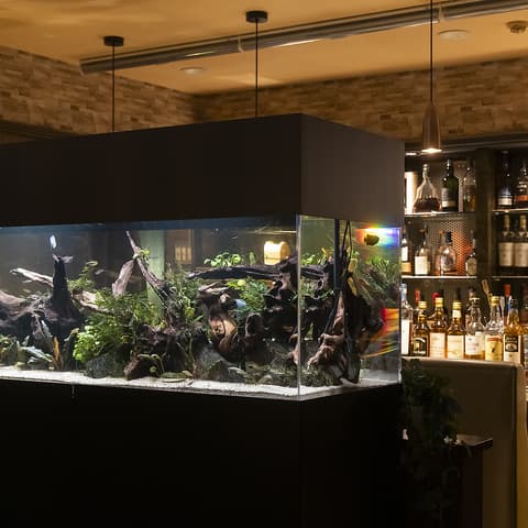 BAR FRIEND HEART フレンド ハート