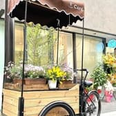 ハミングバードCafe 3