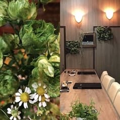 キッチンバル kyo 2