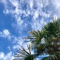 アルカンシエル 2