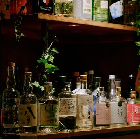 フィクションスパイス