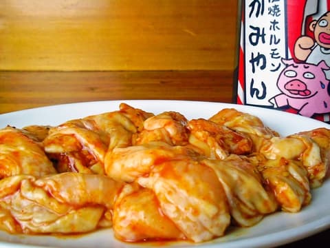 炭焼ホルモン かみやん