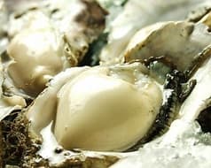 どさんこキッチン レトロなゴリラ 南3条店 2