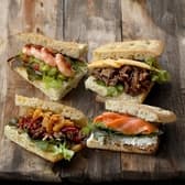 The Beet ザ ビート 3