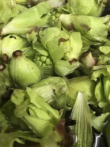 町家 秋田 家庭料理