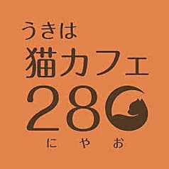 うきは猫カフェ28○ にゃお 2
