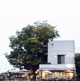 Pizzeria Bar e Deli TANPOPO 3