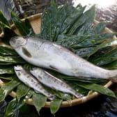 あまご茶屋 修善寺温泉店 3