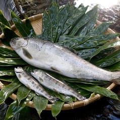 あまご茶屋 修善寺温泉店 2