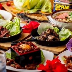 やんばるげんじん 2