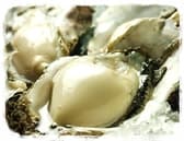 和海 なごみ 戸越銀座店 3