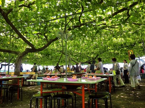 御坂農園グレープハウス