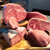 CICADA シカーダ 3