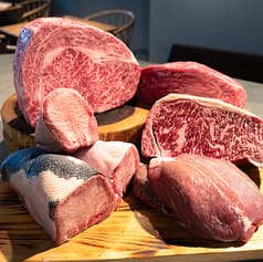 CICADA シカーダ 2