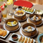 PAOPAN550 パオパンゴーゴーマル 3