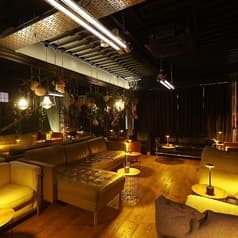 T2 SQUARED SHISHA CAFFE TRIBE GOTANDA 2