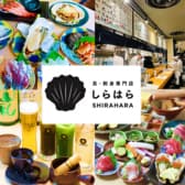 貝 刺身専門店 しらはら 新橋 3