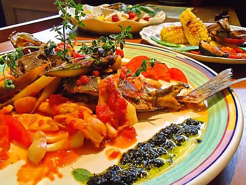 トリコロール 九条