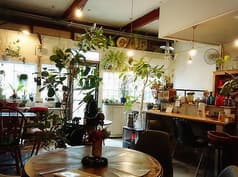 plant's cafe 2