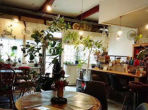 plant's cafe