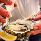 料理 ひよこ宿 3