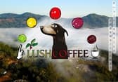 LUSH COFFEE 3