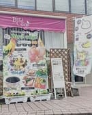 とりカフェ Bird cage 3