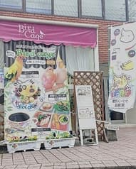 とりカフェ Bird cage 2