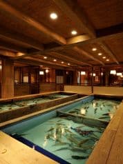 味問屋 明日香 宇都宮 2