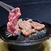 成吉思汗狐白 3