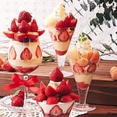 キャンベル アーリー 福岡空港店 3