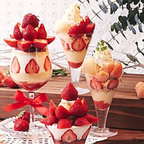 キャンベル アーリー 福岡空港店