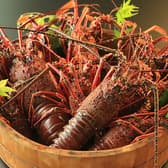 囲炉裏料理 エビス亭 3