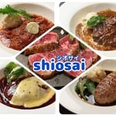 shiosai シオサイ 栄 3