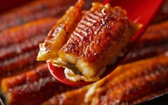 うなぎ乃助 京都八幡店 2